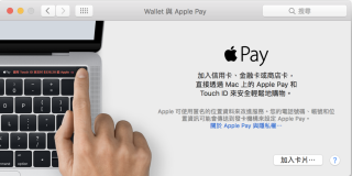Apple Pay 設定信用卡界面，靚仔過其他界面好多啫…
