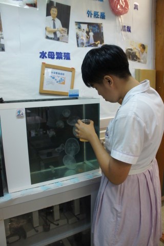 水母由飼養至培育，甚至外出實習，也 是老師們熱心帶領學生的功勞。
