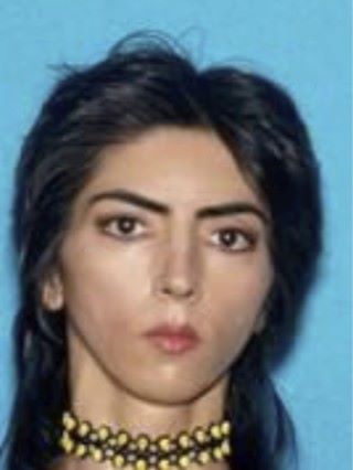 當地警方發布疑兇照片，她是 39 歲的女 YouTuber Nasim Najafi Aghdam 。