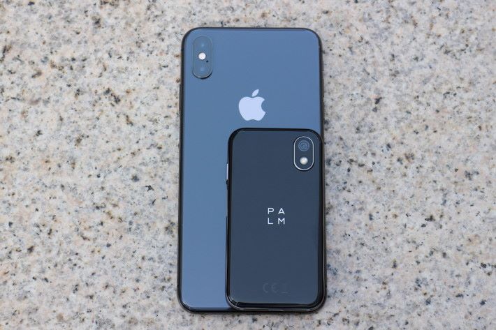 同 iPhone Xs Max 比較就知 Palm Phone 是何等細小
