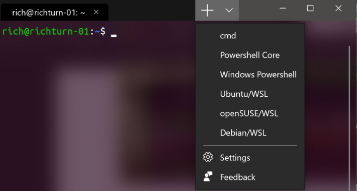 cmd 、 PowerShell 、 SSH 和各款 Linux WSL 可以共存在一個視窗裡面。