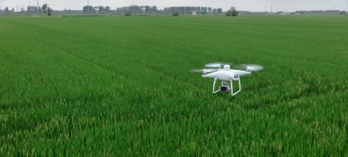 DJI 新無人機 P4 Multispectral 主要是為精準農業與環境管理而設。